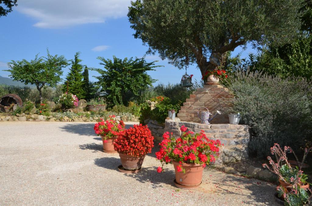 Casale Il Cerqueto Bed & Breakfast San Severino Marche Exterior photo