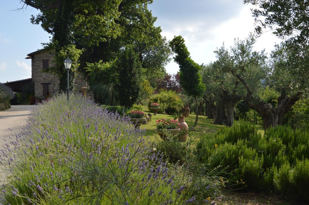 Casale Il Cerqueto Bed & Breakfast San Severino Marche Exterior photo